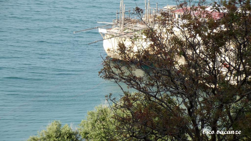 B&B Vico Vacanze Vico Del Gargano Luaran gambar