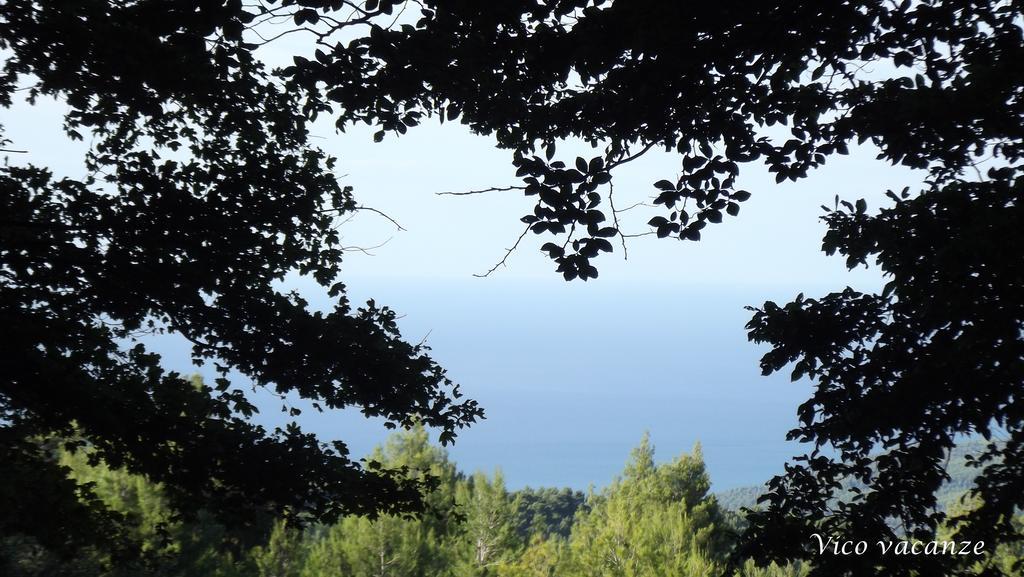 B&B Vico Vacanze Vico Del Gargano Luaran gambar