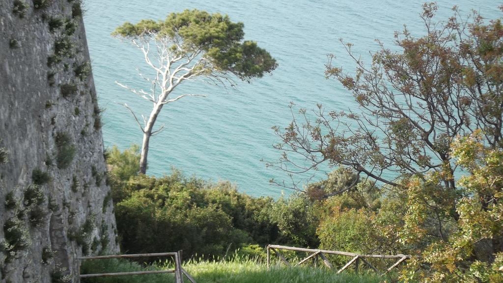 B&B Vico Vacanze Vico Del Gargano Luaran gambar